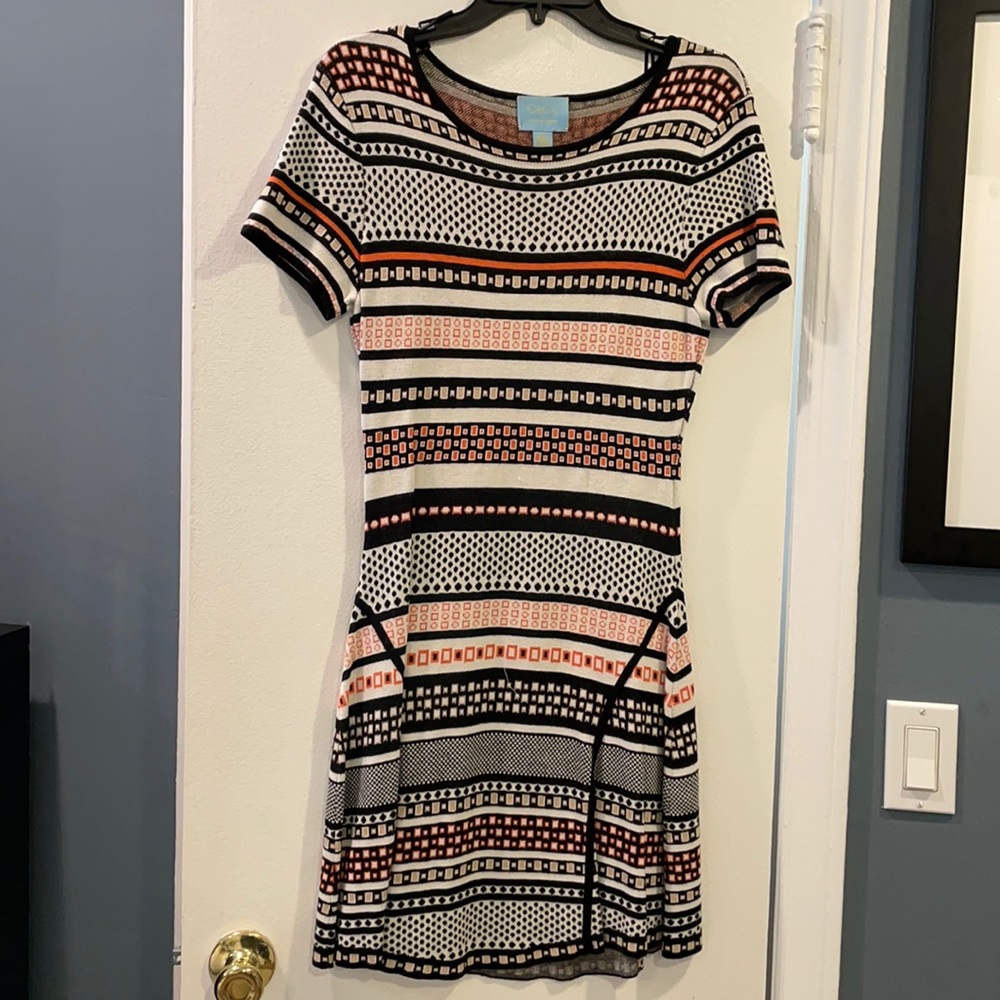Fabulous CeCe by Cynthia Steefe sweater dress